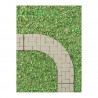 Paths IV